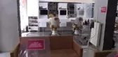 Berberler koronavirüs sonrasındaki sürece hazırlanıyor