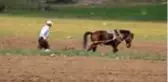 Çiftçilerin 