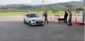 Osmaniye'de Amanos Dağı eteklerine ekili 330 kök hint keneviri ele geçirildi