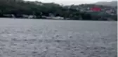 İSTANBUL-TARABYA SAHİLİ'NDE YUNUSLARIN DANSI KAMERADA