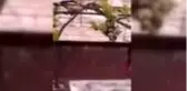 Sağanak ve dolu tarım alanlarına zarar verdi