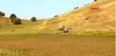 Tire, çekirgelerden temizleniyor