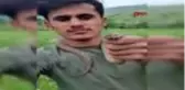 HAKKARİ Ölümcül 'koca engerek'le oynayıp, doğaya saldılar
