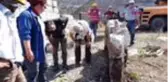 ANTALYA Patara'da heyecanlandıran yazıt bulundu