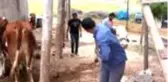 Besiciden Milli Dayanışma Kampanyası'na destek