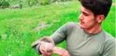 Hakkarili gençler, Türkiye'nin en zehirli yılanı koca engerekle oynayıp doğaya saldılar