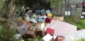 Gölbaşı ilçesinde devrilen kamyonetin kasasından yola savrulan arılar, kimseyi kaza yerine...