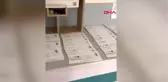 Almanya'da camiler ibadete yeniden açıldı