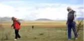 Kilosu 200 TL'yi bulan domalan mantarını bulmak için her yeri karış karış arıyorlar