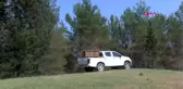 Alageyikler özgürlüğe koştu
