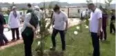 Hemşireler için fidan dikildi - AFYONKARAHİSAR