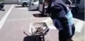Hayırsever vatandaşın ödediği veresiye defterleri belediye tarafından yaktı