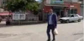 Hem köyün muhtarı hem de sokak hayvanlarının muhtarı