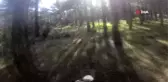 Yılkı atlarını motokrosçular kask kamerasıyla görüntüledi