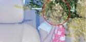 Cuma günü sokağa çıkması serbest olan Aleyna Tilki, yasakları çiğneyerek Salı günü dışarı çıktı