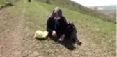 Madımak bitkisi toplayan kadınlar sosyal mesafe kurallarına da uyuyor