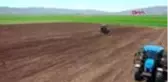 Sivas'ta patates ve şeker pancarı ekimi başladı