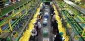 Limonda 10 bin ton ihracat izni sevindirdi