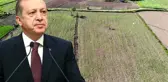 Cumhurbaşkanı Erdoğan'ın gündeme getirdiği kenevirin ekim alanı Vezirköprü'de iki katına çıktı