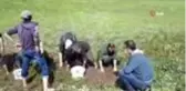 Ölmek üzere olan 3 ton balığı kovalarla taşıdılar