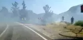 Çıkan orman yangınına havadan ve karadan müdahale ediliyor