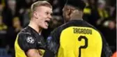 Dortmund'un genç yıldızı Zagadou sakatlığı nedeniyle sezonu kapattı