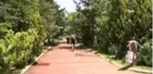 Günler sonra sokağa çıkan yaşlı adam spor yaptı, şınav çekti