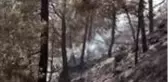 Silifke'deki orman yangını kontrol altına alındı
