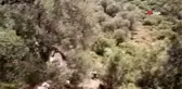 6 gündür haber alınamayan ağcı için ekipler seferber oldu