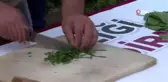 Elazığ'da çiftçilere ipek böceği yumurtları dağıtıldı