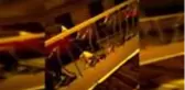 SAMSUN Mahallelinin maskotu 'Alaş' adlı köpeği bıçaklayarak öldürdü