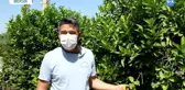 Limon İhracatına Sınırlı İzin Üreticiyi Tatmin Etmedi