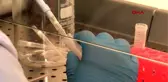 3 DOKTORA ÖĞRENCİSİNİN KORONAVİRÜS AŞI ÇALIŞMASINA TÜBİTAK DESTEĞİ -1