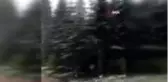 Karabük'ün yüksek kesimlerinde kar yağışı etkili oldu