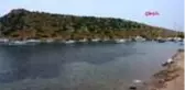 MUĞLA BODRUM'DA 3 BİN YILLIK ANTİK KENTTEKİ KAÇAK İNŞAATA SUÇ DUYURUSU