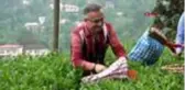Rize'ye 2 günde 9 bine yakın çay üreticisi geldi