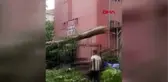 Ankara'da fırtına, günlük yaşamı olumsuz etkiledi