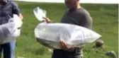 Bitlis'te iki göle 70 bin yavru sazan balığı bırakıldı