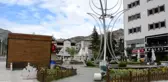 Karadeniz sokağa çıkma kısıtlamasının ardından sessizliğe büründü
