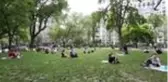 Madison Sqaure Park'ta 'sosyal mesafe' çemberi - NEW