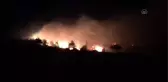 Mersin'de orman yangını