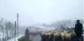Ordu'nun yüksek kesimleri beyaza büründü