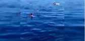 İspanya'da paralimpik yüzücü köpek balığıyla burun buruna geldi
