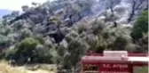 Zeytinlik alanda yangın