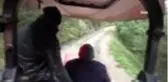 Aniden bastıran kar yağışı nedeniyle 50 koyun ve 30 kuzu telef oldu