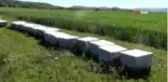 Arıcılar bayram mesaisinde