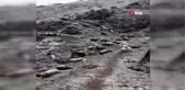 Artvin'e Mayıs ayında kar yağdı, hayvancılıkla uğraşanlar zor anlar yaşadı