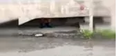 Polisi görünce merdivenin altına saklanan çocuğa bayram sürprizi