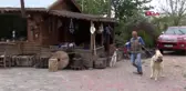 SİVAS Bayramda Kangal köpeklerini yalnız bırakmadı
