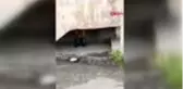 VAN Polisler, korkup saklanan minik Kemal'i evinde ziyaret edip oyuncak hediye etti